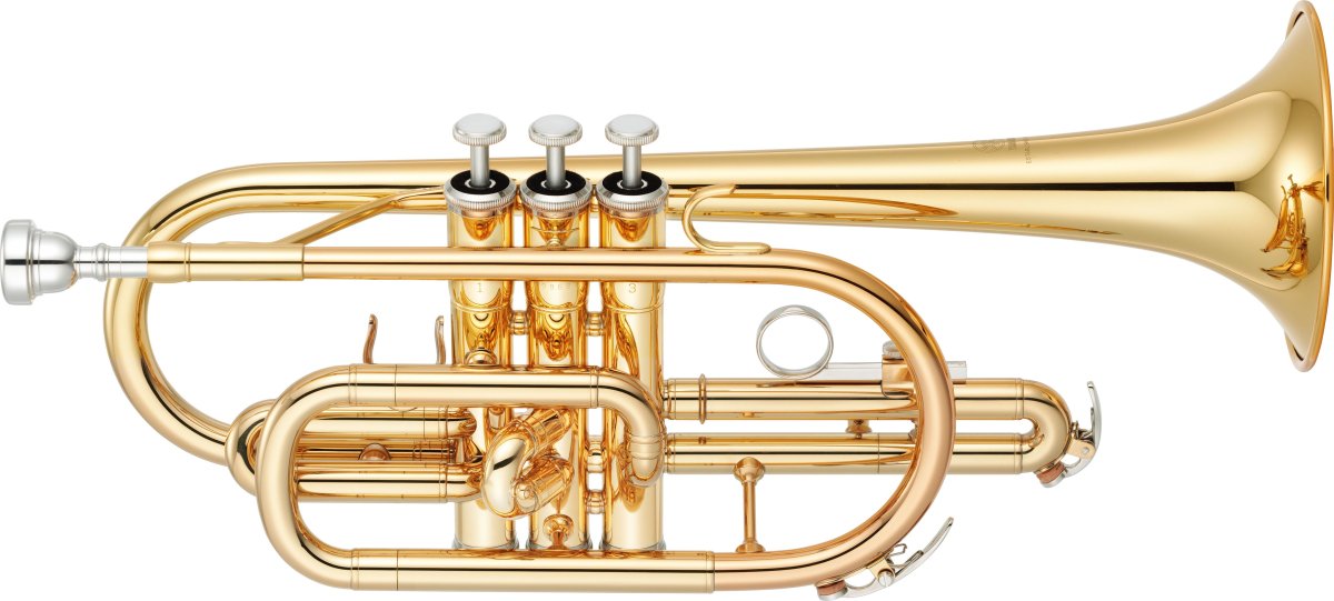 Noel | Cornet [Fuzz] - YouTube